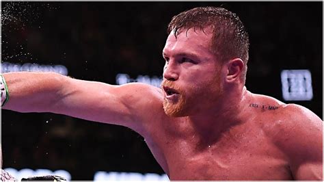 A Cu Nto Asciende La Fortuna De Canelo Lvarez La Incre Ble Cifra Que