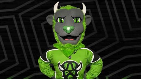 Saskatchewan Rush choose Rowdy as name for new mascot | CBC News