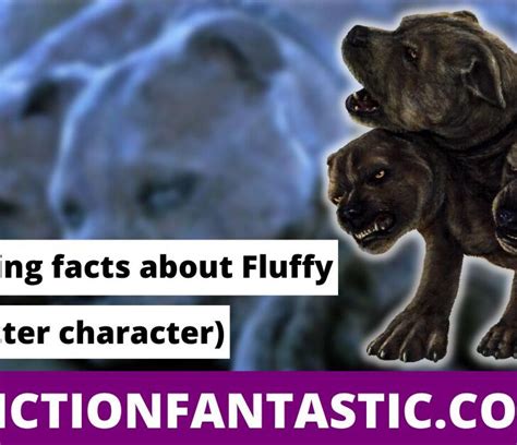 15 Surprising Facts About Fluffy (Harry Potter Character) – Fiction ...