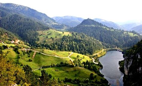 ТАРА