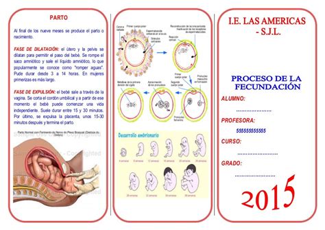 Triptico De La Fecundacion