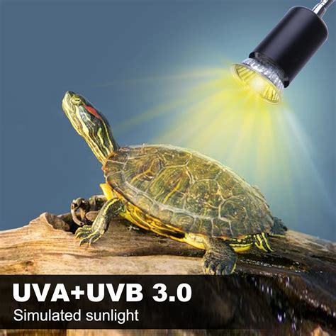 Lampada UV per Tartarughe Ecco le 5 con Più Recensioni Positive