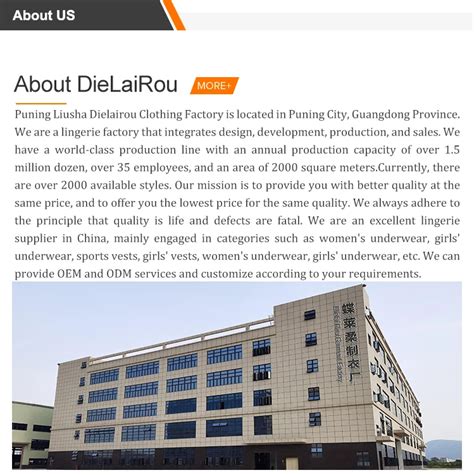 Women Sexy Underwear Lace Thongs Bikini Low Rise Panties Sexy G String Lace Thongs For Women