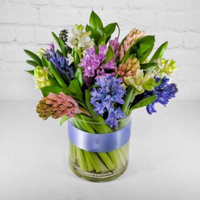 Hyacinth Medley :: Ashland Addison Florist Co.