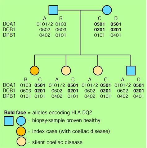 Coeliac Disease The Lancet