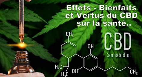 Quels Sont Les Bienfaits Réels Du Cbd