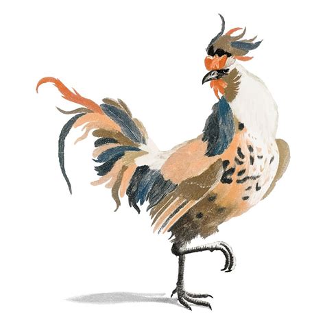 Illustration Of Different Parts Of Hen Royalty Free Stock