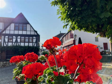 Königstein im Taunus Sehenswürdigkeiten Heilklima sanfte Hügel