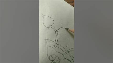 Draw Drawing Aalekhan Lotus Flower In Circles Ytashish Draw Drawing