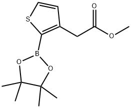 Thiopheneacetic Acid Tetramethyl Dioxaborolan Yl