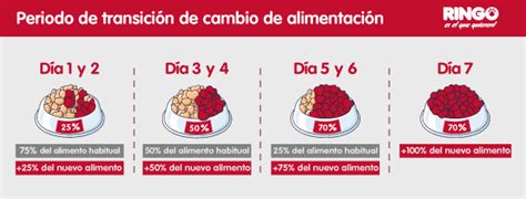 Cómo Realizar La Transición De Alimento De Tu Perro