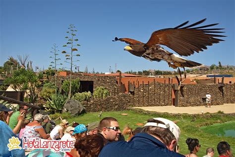 Rancho Texas Lanzarote Park - HolaLanzarote.com