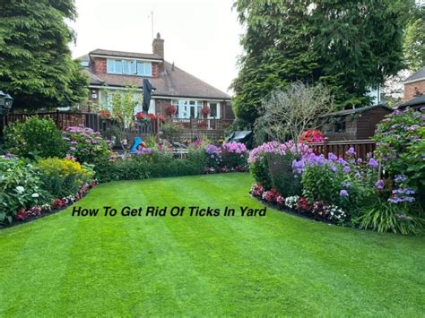 How To Get Rid Of Ticks In Your Yard