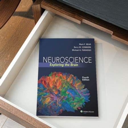 6 Best Books on Computational Neuroscience 2023 - Decoding the Brain