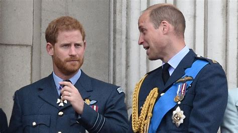 William et Harry en froid cette réunion virtuelle qui les a réunis