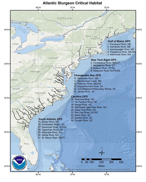 Atlantic Sturgeon Critical Habitat Map and GIS Data | NOAA Fisheries