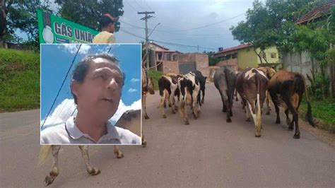 Secret Rio Contesta Fazendeiro Que Cria Animais Soltos Na Rua E