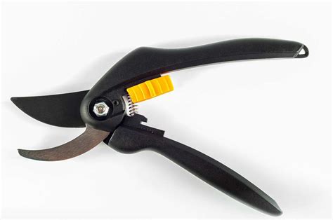 What Are Secateurs 10 Tips To Master The Art Of Pruning High Rise