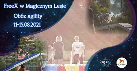 Obóz Agility FreeX w Magicznym Lesie 2021 FreeX