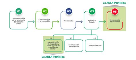 Consulta Previa