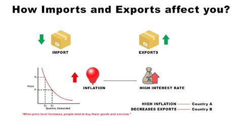 What Is Import Explaining The Basic Meaning And Difference Between