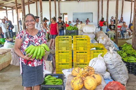 Portal Governo Do Amapá Atividades Agrícolas E Extrativistas Serão