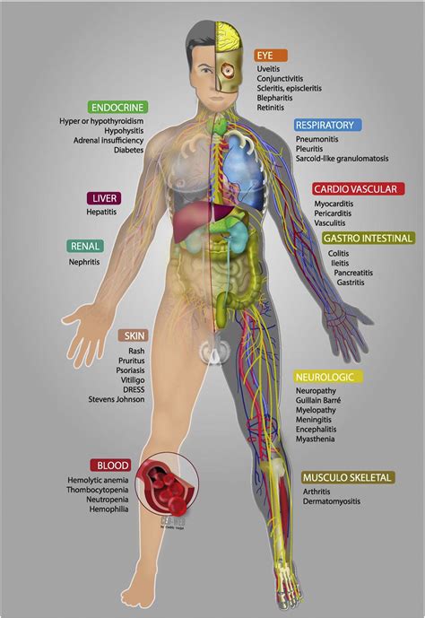 Recent Developments In Oncology Immunotherapy Adverse Effects Part 2 The Journal For Nurse