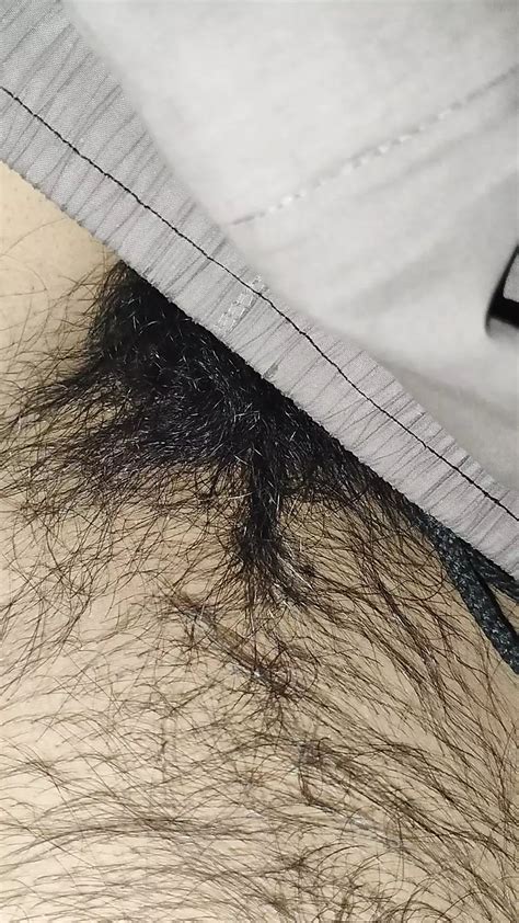 Otter Jerking Off Hairy Dick American Gay Amateur Amateur Porn XHamster