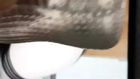 Arsch Von Versaute Ehefrau HD Videos Porn XHamster