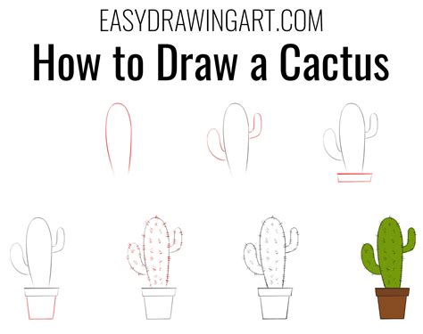 How To Draw A Cute Cactus