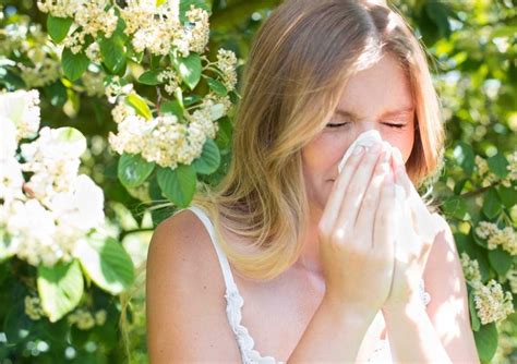 Yeti Kinlerde Alerjik Rinit Nedir Nas L Geli Ir