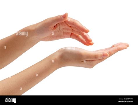 Beautiful Female Hands On White Background Stock Photo Alamy