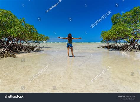 12,701 Sao Paulo Beach Images, Stock Photos, 3D objects, & Vectors | Shutterstock