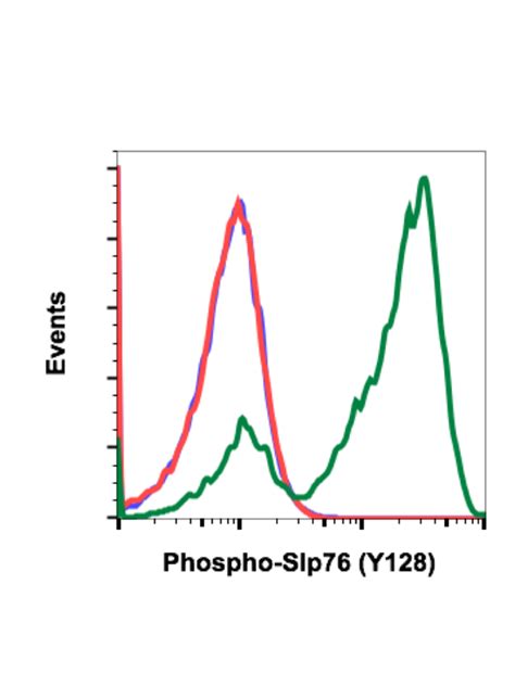 Phospho Slp Y Recombinant Mab Abwiz Bio