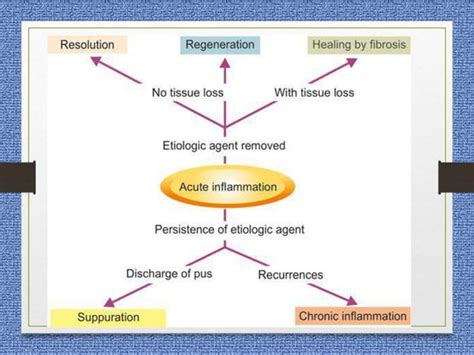 Morphology Of Acute Inflammation Ppt