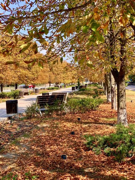 Енергодар|Энергодар