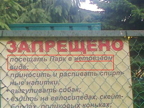 Парк | Пикабу