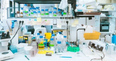 Why The Lab Bench Scientist Really Matters In Biotech Startups