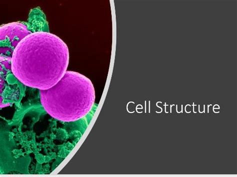 Cell structure | Teaching Resources