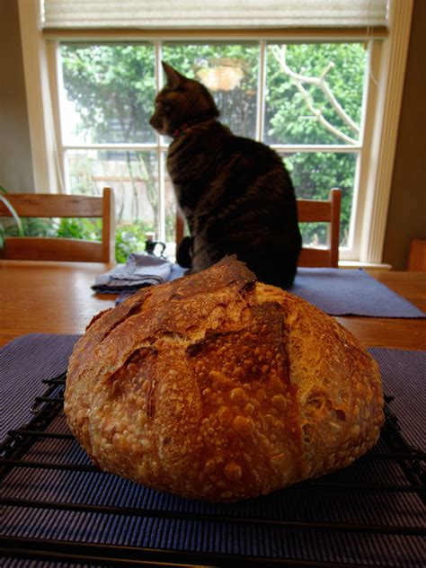 Fwsy Overnight Blonde Yummy The Fresh Loaf