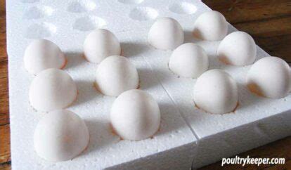 How To Sell Hatching Eggs Plus A Few Tips For Buyers