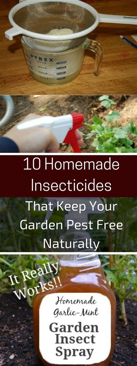 10 Homemade Insecticides That Keep Your Garden Pest Free Naturally