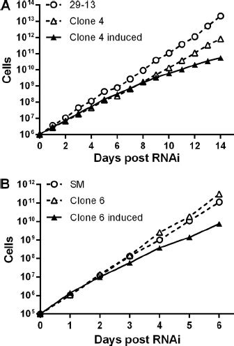 Effects Of Tbspps Rnai On Cell Growth Of The Procyclic Form A And