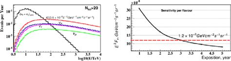 Left Neutrino Effective Areas For Each Flavor Averaged Over All