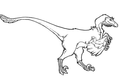 Desenhos Do Velociraptor Para Imprimir E Colorir Pintar