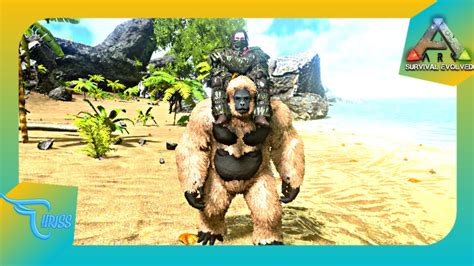 CARA MUDAH TAMING GIGANTOPITHECUS LOKASI GIGANTOPITHECUS EPS 88