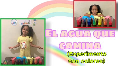 El Agua Que Camina Experimento Con Colores Youtube