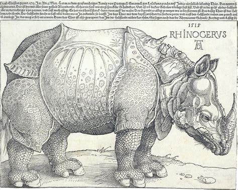 Albrecht Dürer The Rhinoceros The Metropolitan Museum of Art