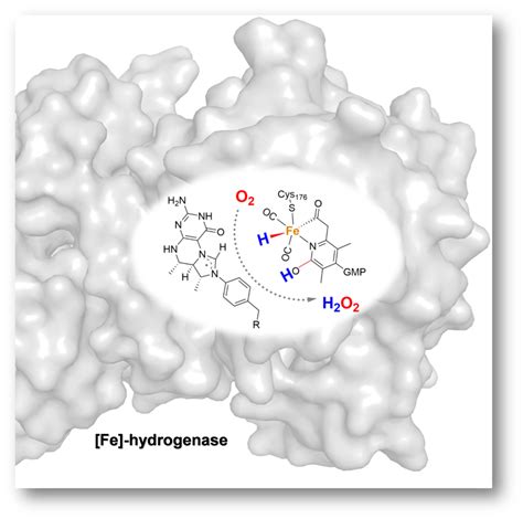 Produktion von H2O2 aus H2 und O2 | Max-Planck-Institut für ...