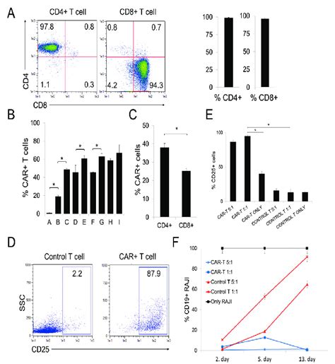 In Vitro Activation And Cytotoxicity Assay Of The Produced Car T Cells